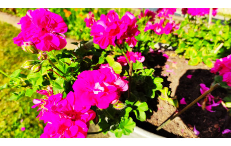 Catégorisation Féminine F3: Clic ici